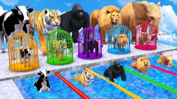 Colorful Animal Race Challenge - Lion, Tiger, Elephant and Friends Pool Adventure
