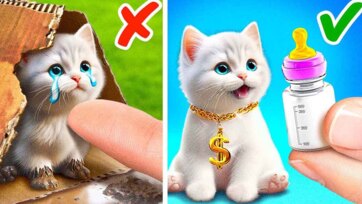 Playful Kitten Pops Rainbow Fidget Toy in a Surprise Adventure