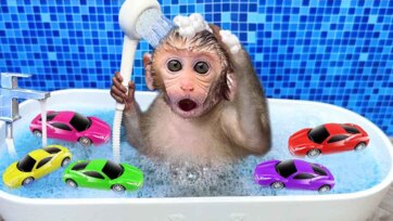 Funny Monkey Water Play with Colorful Toy Cars and Bubbles for Kids